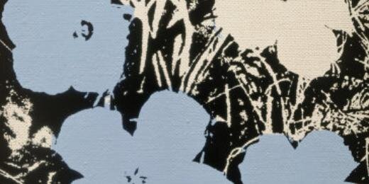 biancapacini's profile banner image