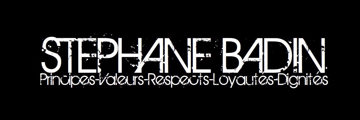 StephaneBadin's profile banner image