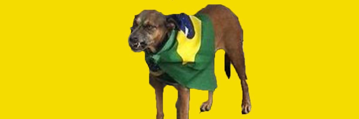 40g de VPN sinhô banner