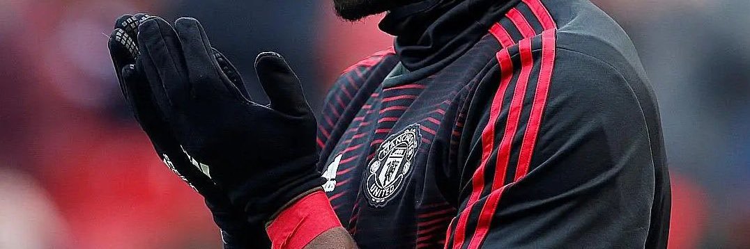 momo banner