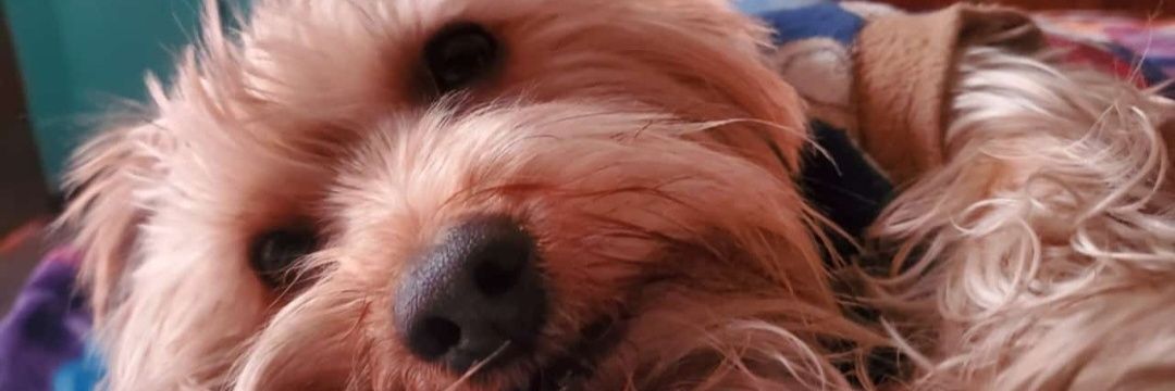 lotsoboy's profile banner image