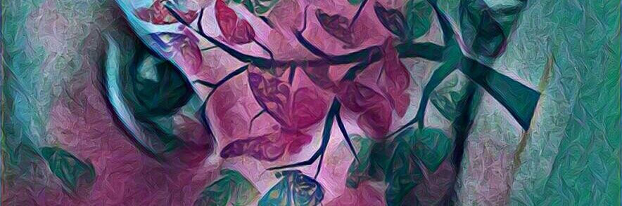 mericienta's profile banner image