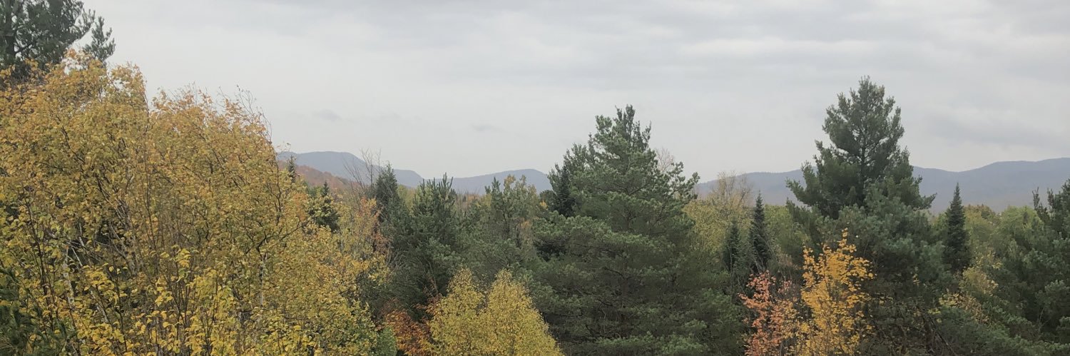 ImEmilyHunt3's profile banner image