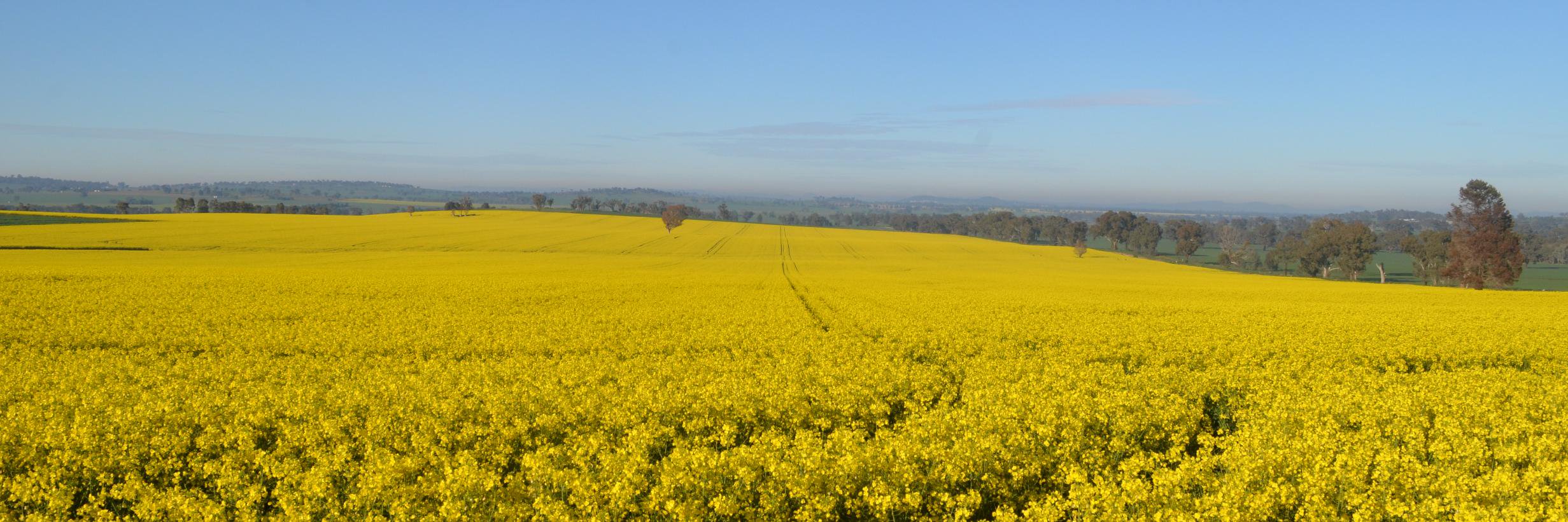 thelandnews's profile banner image
