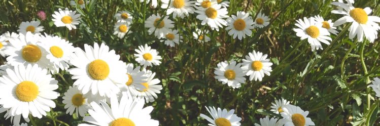 Samantha Starling banner