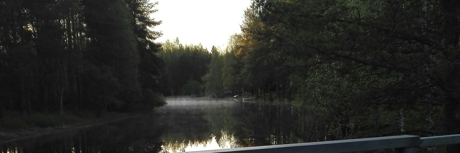 🇫🇮🇺🇦🇪🇺🌹 banner