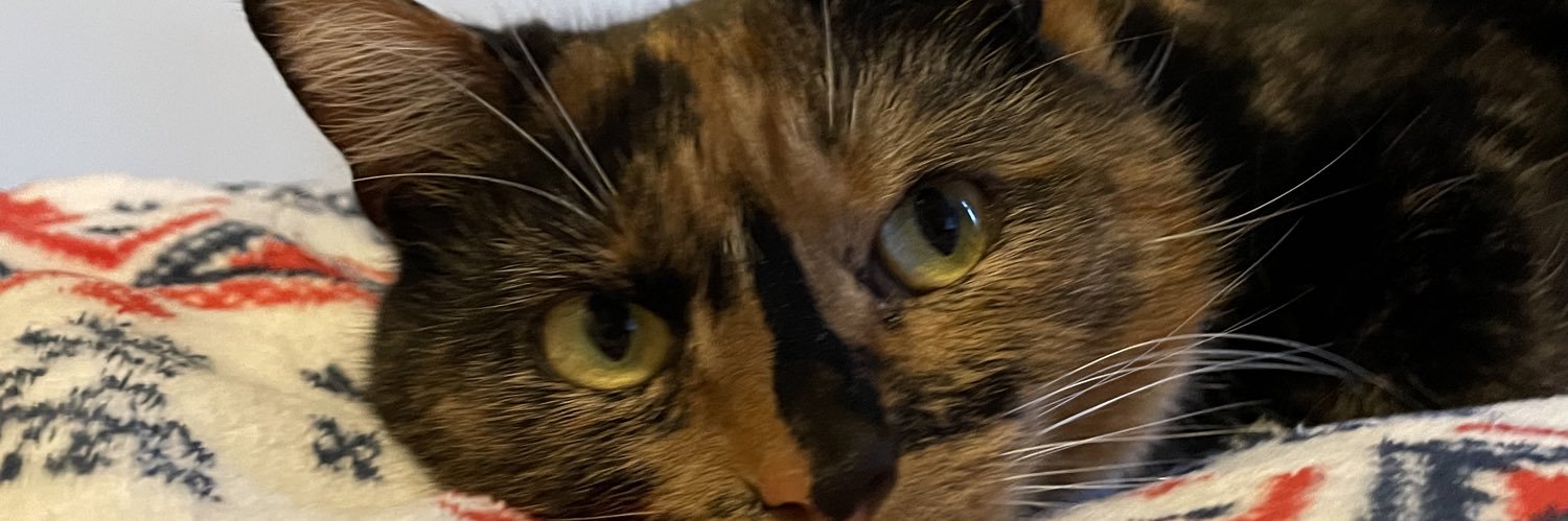 kimberley Parsonage 💙 banner