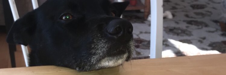 alexapaulus's profile banner image