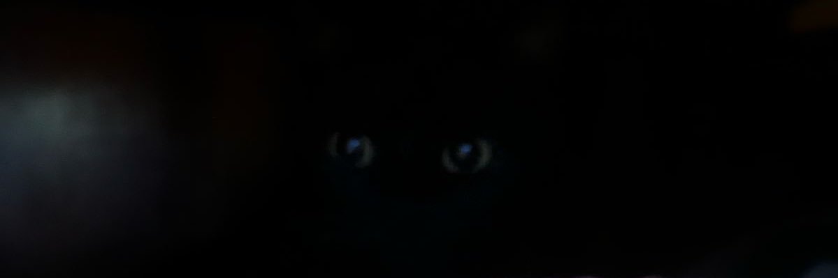 haya_eltehe's profile banner image