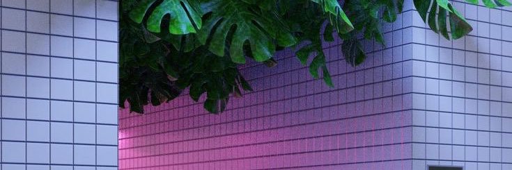 juli_ham banner