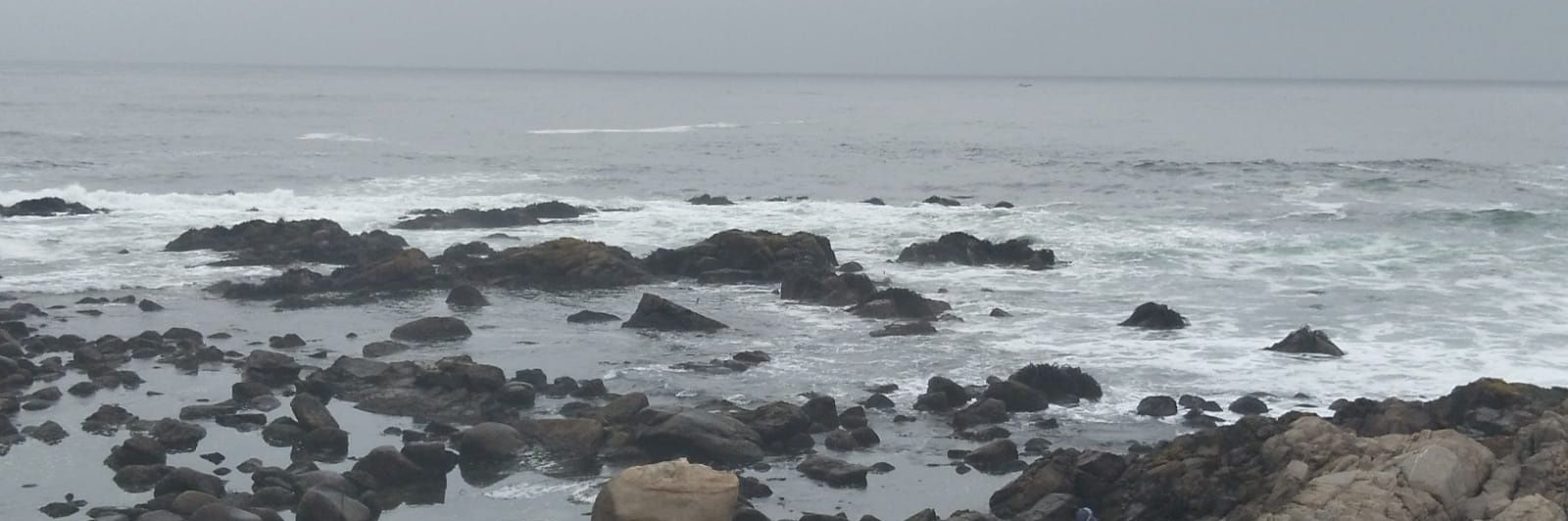 taurusx13's profile banner image