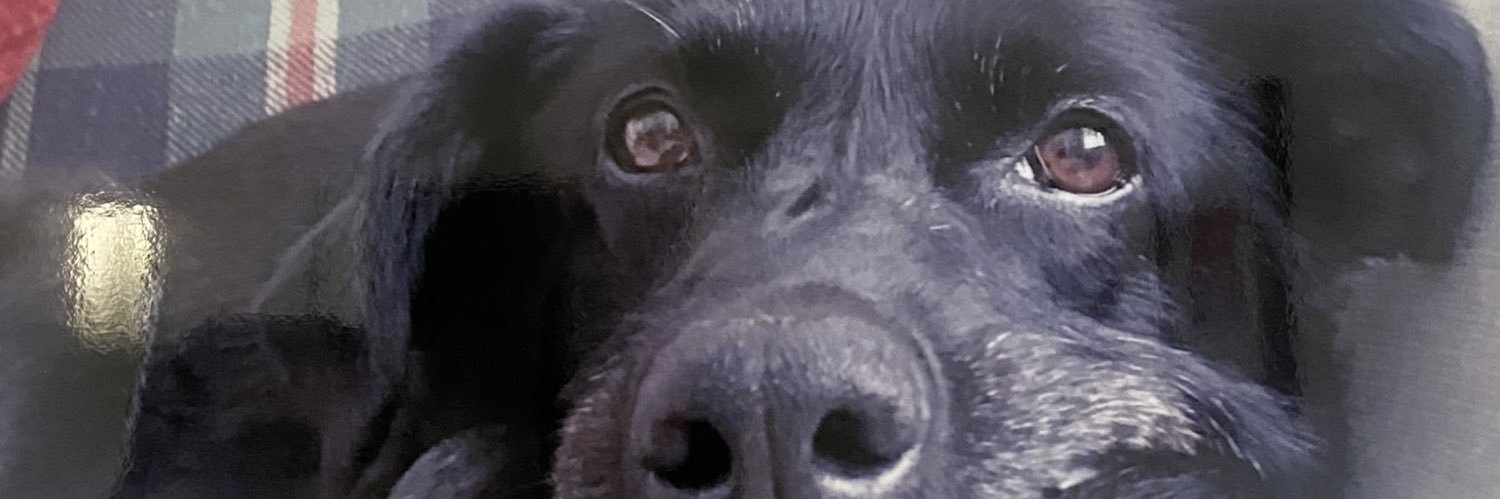 Martin Billing banner