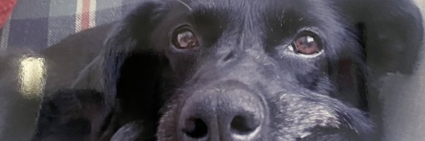BillingMartin Profile Banner
