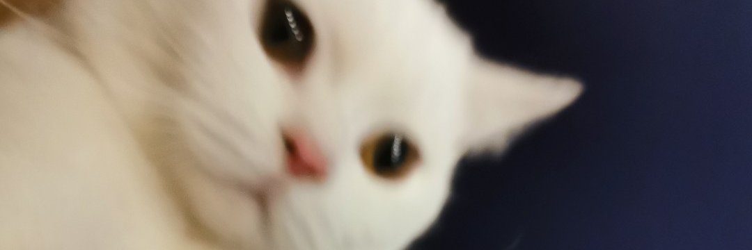天沅 banner