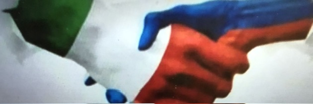 stefania leone. banner