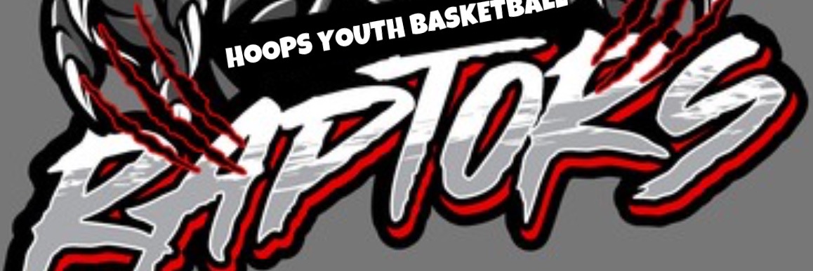 HYB Raptors banner