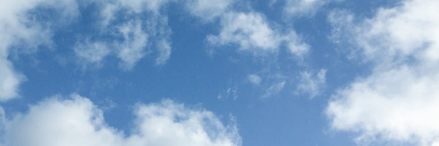 fritteee's profile banner image