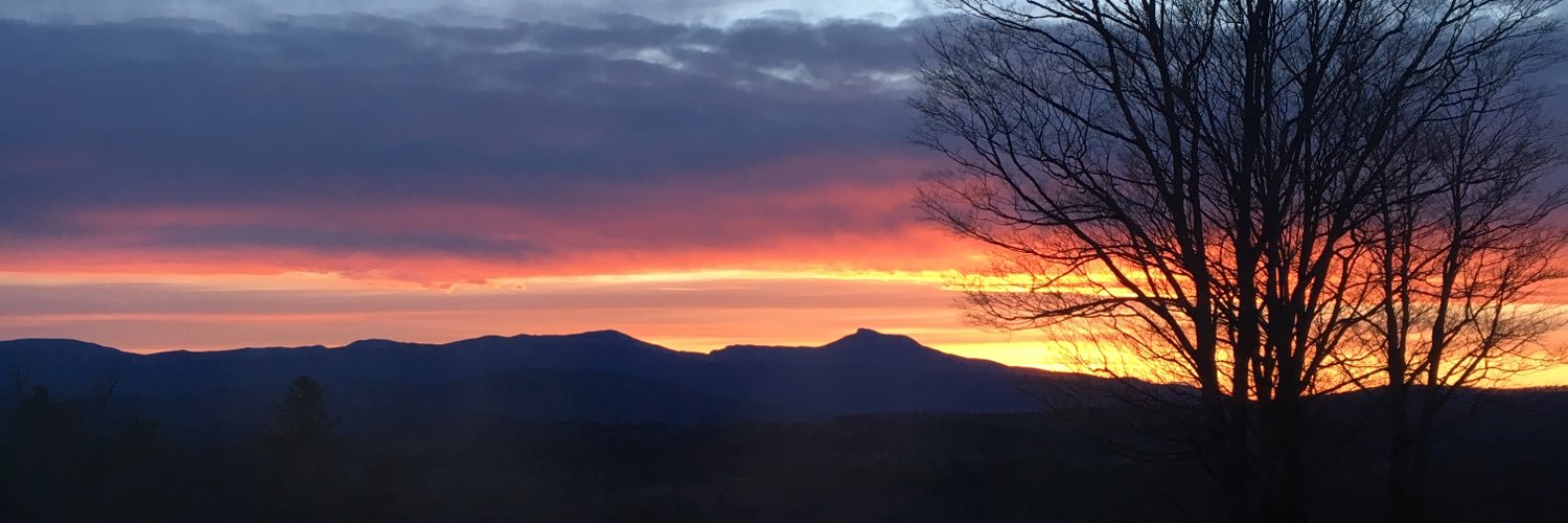 ali_freeman_'s profile banner image