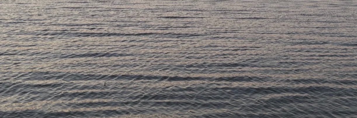 caatyramirez's profile banner image