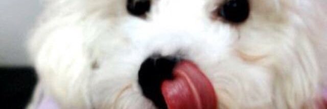 juu_burckle's profile banner image