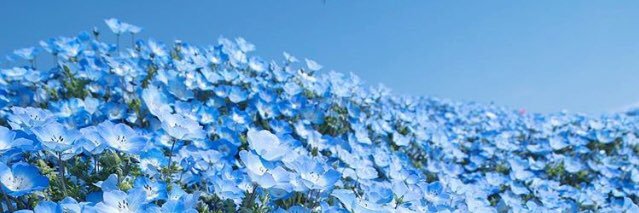 Mommamume's profile banner image