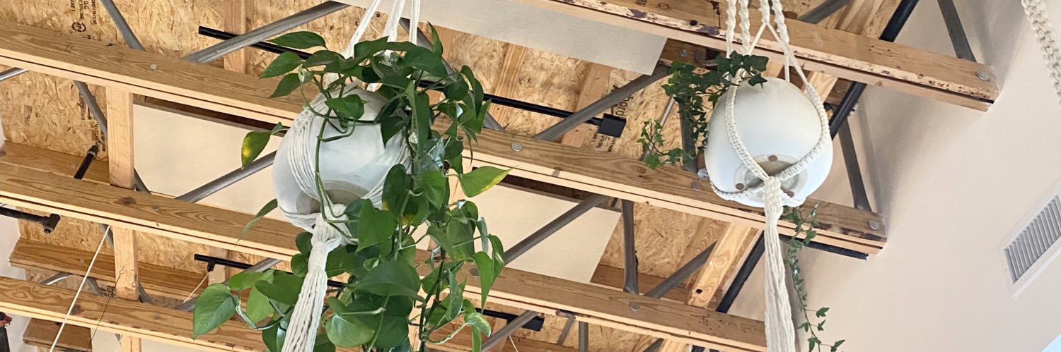 kailee yoshishige banner
