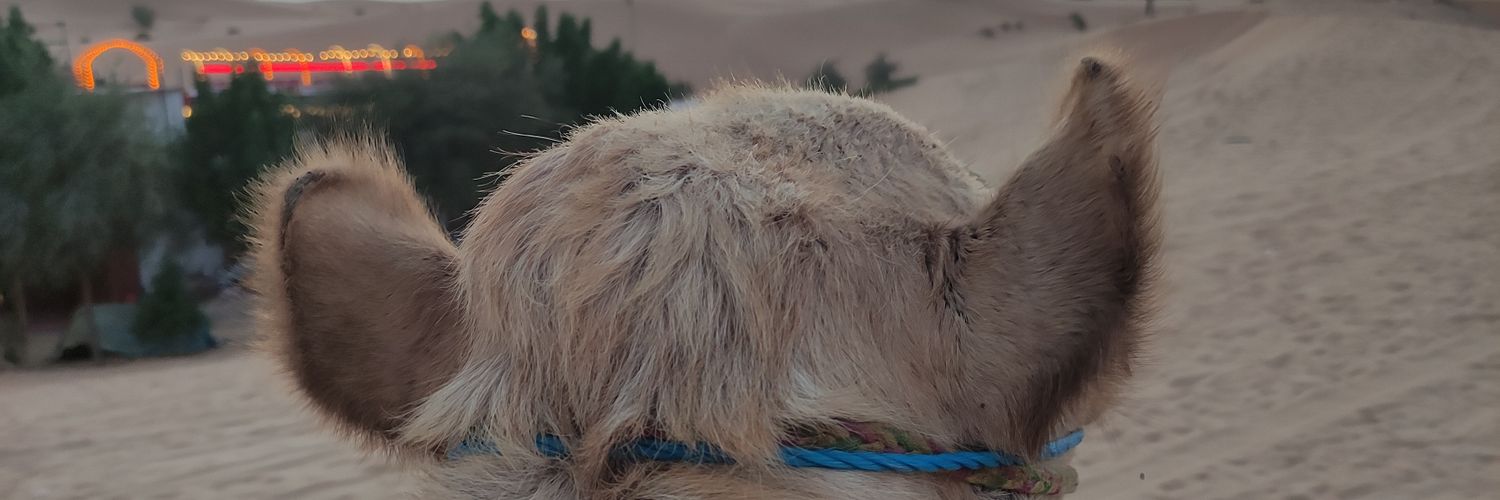 LamponGero's profile banner image