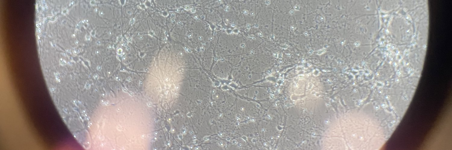 Danielle Clark banner