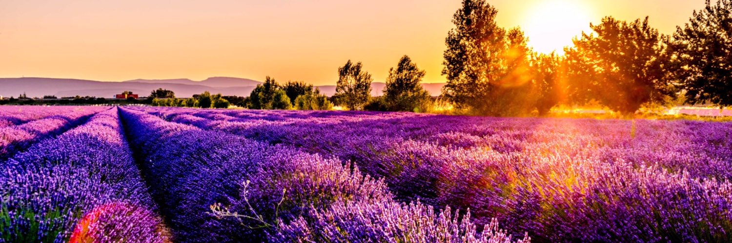 Gail Paschall-Brown banner