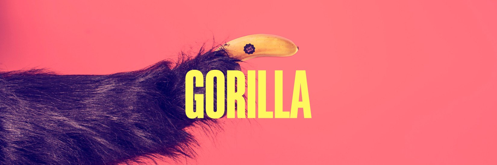 gorilla_studio's profile banner image