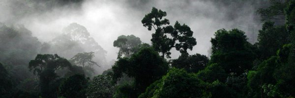 Mereba Profile Banner