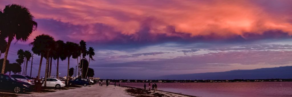 TEXASROSE551's profile banner image