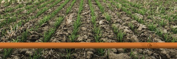 BarleyCanada Profile Banner