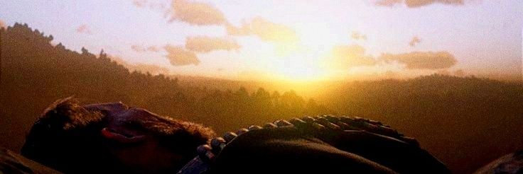 genisjf31's profile banner image