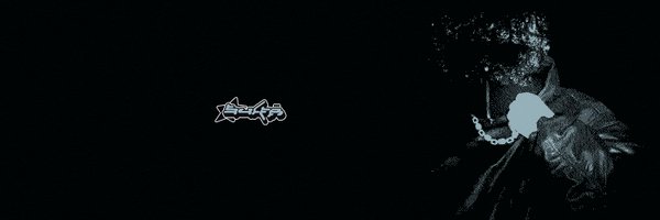 svlfrr Profile Banner