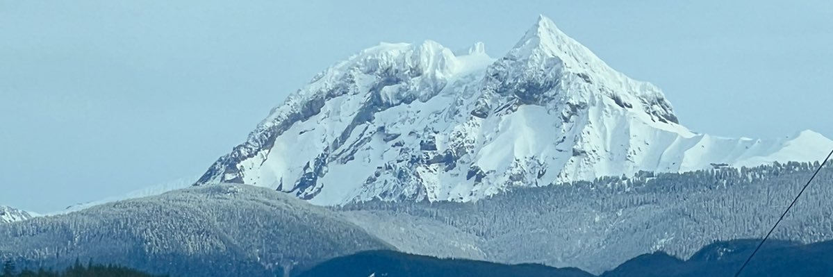 wagnerbertolini's profile banner image