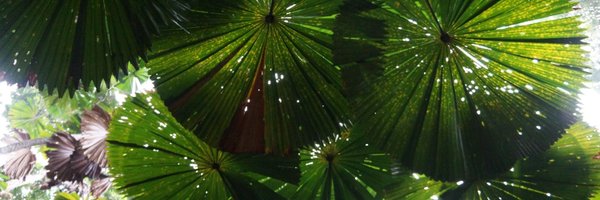elequinter Profile Banner