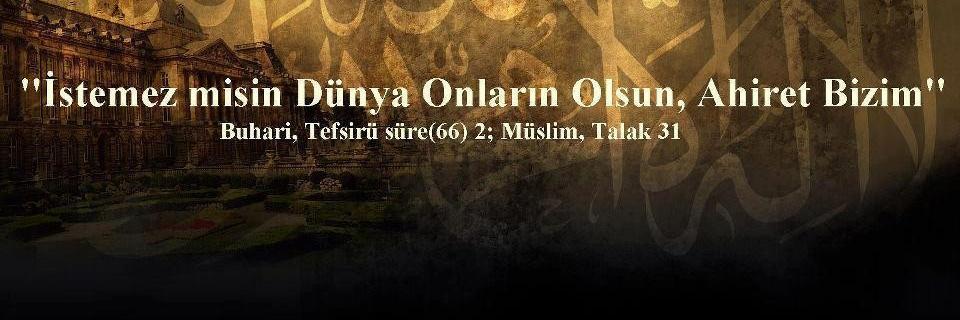 Ulaercan banner