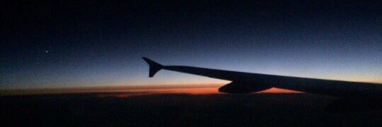 Stanislav Andreevich banner