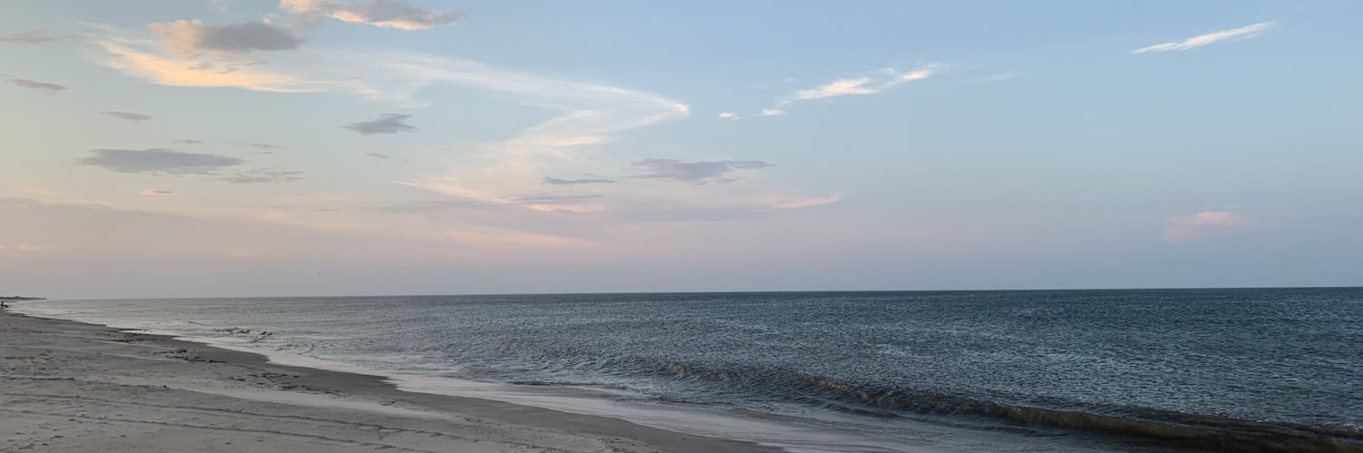 C1_Ely's profile banner image
