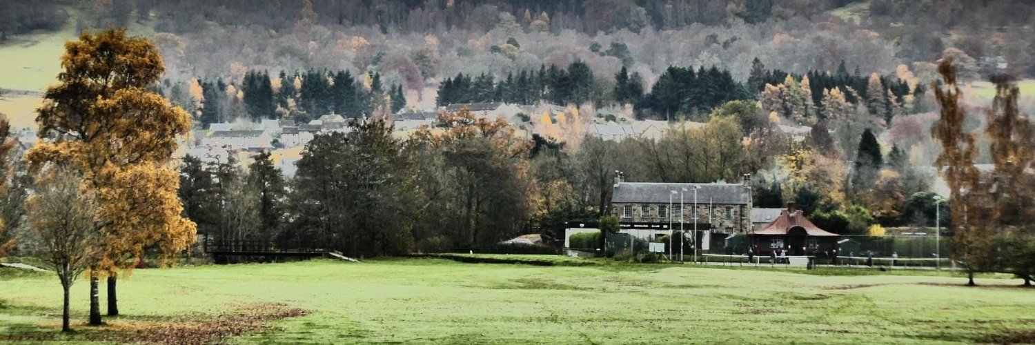 Feldyross's profile banner image