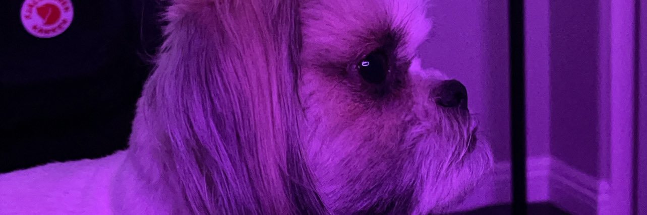 dvbzz_'s profile banner image