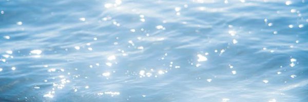 anaceitunas Profile Banner