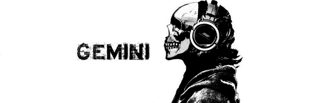 sengemini66's profile banner image