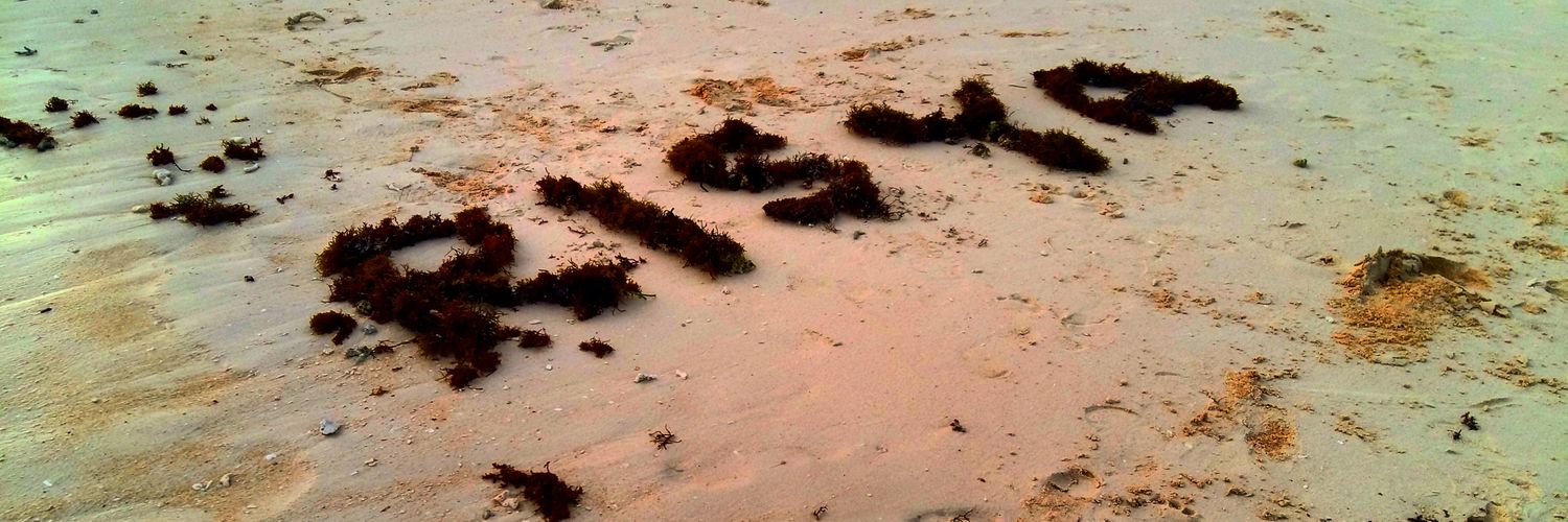 Dolphin_daffa's profile banner image