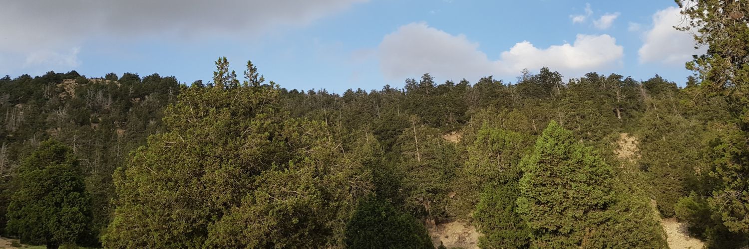 Habibkhan031's profile banner image