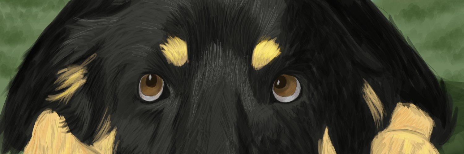 adavidtorpach's profile banner image