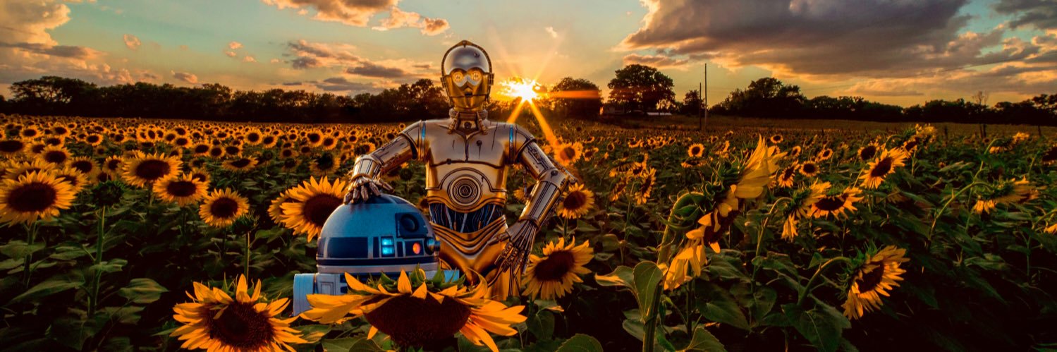 Geeky83's profile banner image