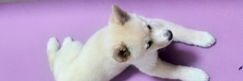kaisersys's profile banner image
