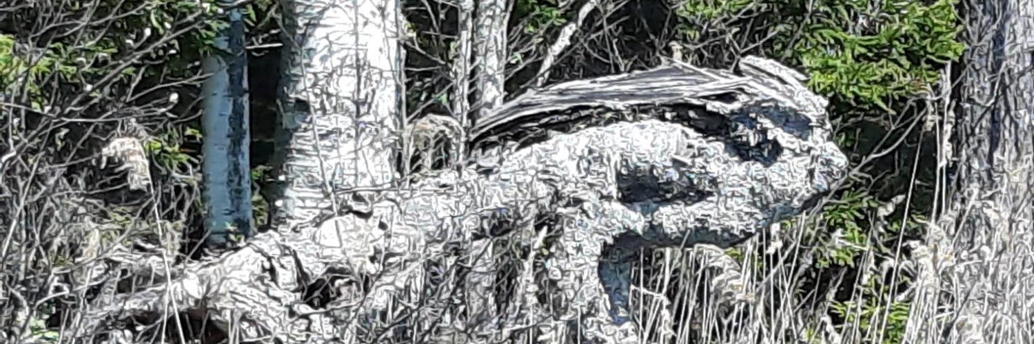 Kari Partanen's banner